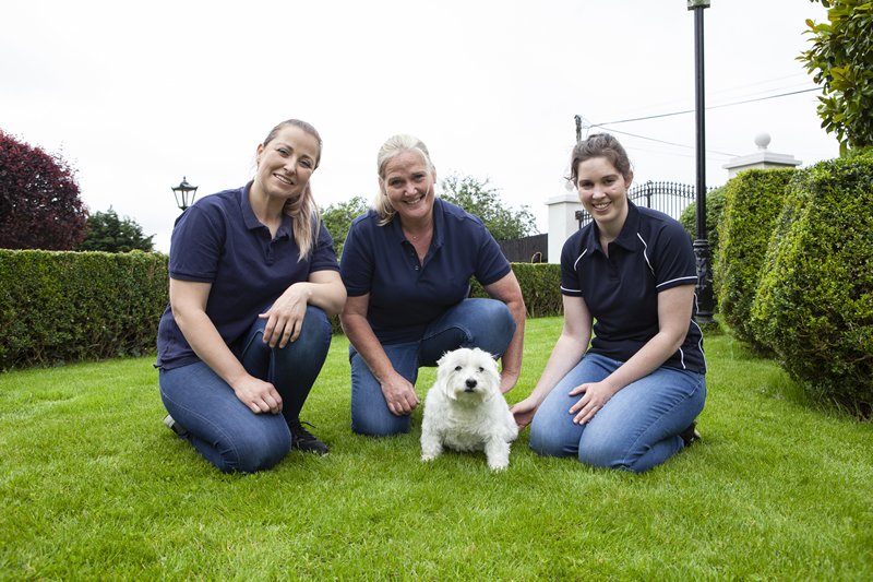 top-dogs-kennels-kildare (15)