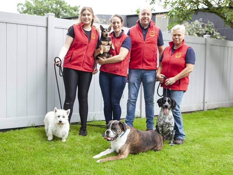 top-dogs-kennels-kildare (27)